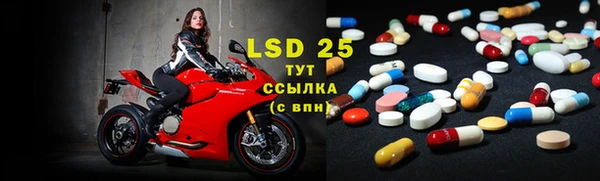 трава Вязьма