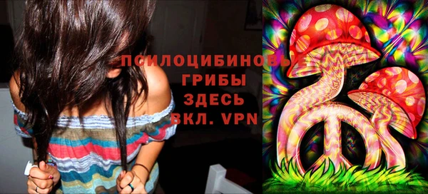 мяу мяу мука Вяземский