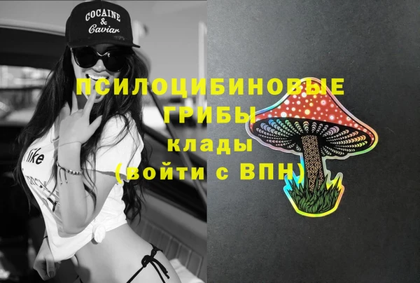 мяу мяу мука Вяземский