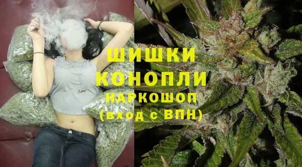 трава Вязьма