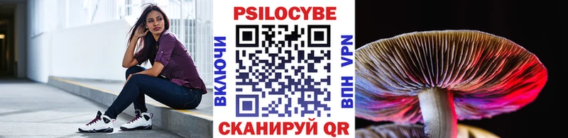 мега маркетплейс  Избербаш  Псилоцибиновые грибы Psilocybe 